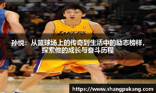 必一运动bsport体育